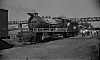 LM09524.jpg