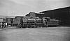 LM10118.jpg