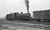LM10132.jpg