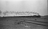 LM10134.jpg