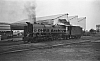 LM10136.jpg
