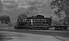 LM10161.jpg