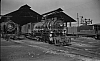 LM10184.jpg