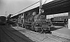 LM10194 1.jpg