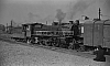 LM10207.jpg