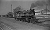 LM10209.jpg