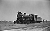 LM10215.jpg