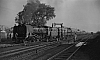 LM10226.jpg