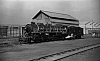 LM10230.jpg