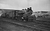 LM10239.jpg