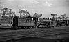 LM10255.jpg
