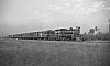 LM10262.jpg