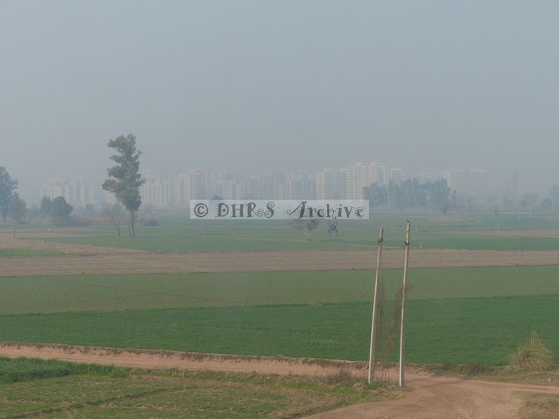 P1140849.JPG