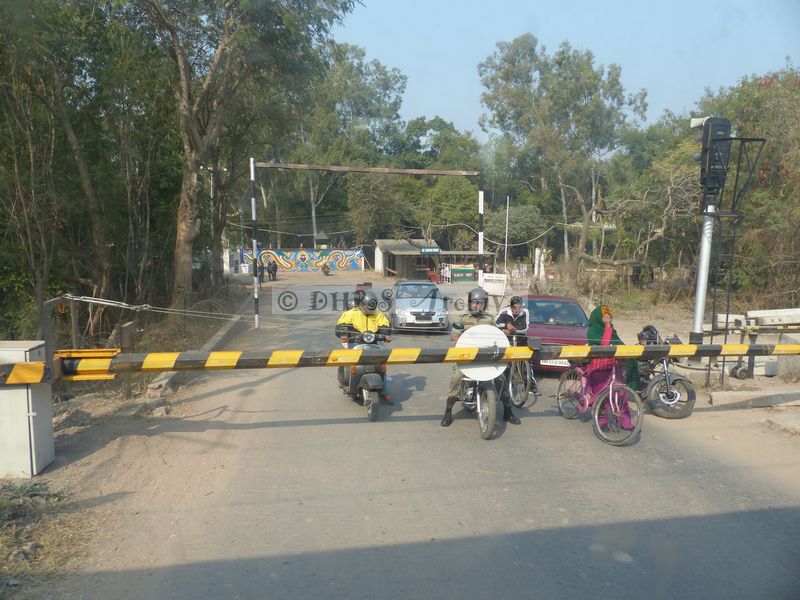 P1140856.JPG