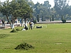 P1140467.JPG