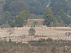P1140479.JPG