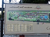 P1140619.JPG