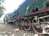 P1140669.JPG