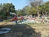 P1140695.JPG
