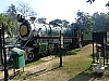 P1140697.JPG