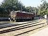 P1140701.JPG