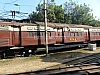 P1140704.JPG