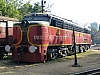 P1140705.JPG