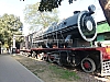 P1140725.JPG