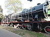 P1140727.JPG