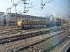P1140837.JPG