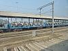 P1140853.JPG