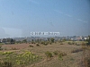 P1140857.JPG