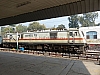 P1140859.JPG