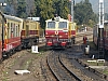 P1140879.JPG
