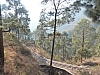 P1140893.JPG