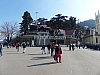 P1140959.JPG